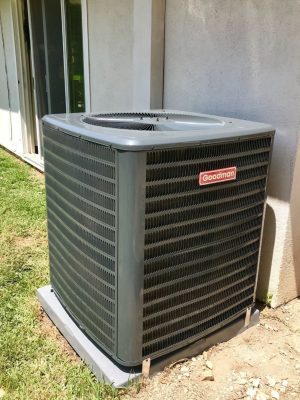 WhatsApp Image 2024-04-18 at 7.41.17 p. m. (3)